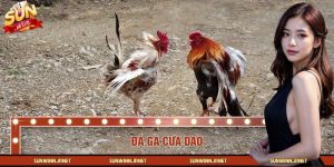 Đá Gà Cựa Dao – Bí Quyết Giành Chiến Thắng Dành Cho Tân Thủ